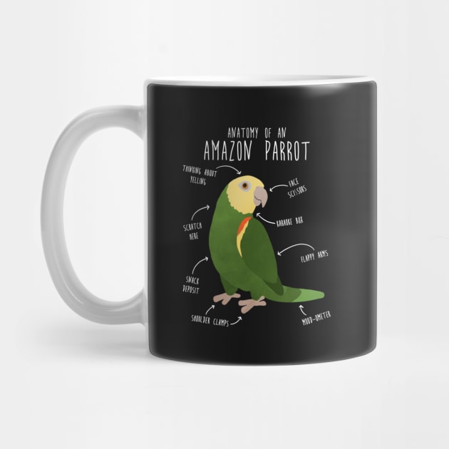 Amazon Parrot Anatomy by Psitta